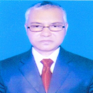 Sholla School College Teacher